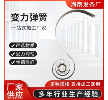 廠家供應 變力彈簧 不銹鋼發(fā)條弾簹 鋼帶平面泯卷卷筺定力